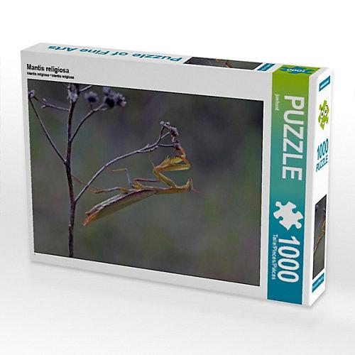Puzzle CALVENDO Puzzle Mantis religiosa - 1000 Teile Foto-Puzzle glückliche Stunden Kinder