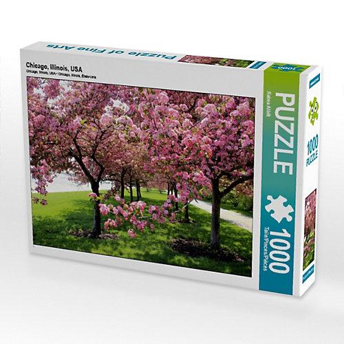 Puzzle CALVENDO Puzzle Chicago, Illinois, USA - 1000 Teile Foto-Puzzle glückliche Stunden Kinder