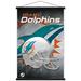 Miami Dolphins 22.4'' x 34'' Magnetic Framed Team Helmet Poster