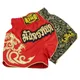Pantalon de boxe MMA Jujitsu NingGrappling pour homme kickboxing tiger muay-thaï bon marché