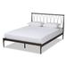 Nano Modern and Contemporary Metal Platform Bed in Black
