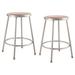 National Public Seating Heavy Duty Lab Stool Manufactured Wood/Metal in Gray | 24 H x 14 W x 14 D in | Wayfair 6224/2