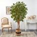 Primrue 72" Artificial Maple Tree in Planter Polyester/Plastic in Red | 72 H x 36 W x 36 D in | Wayfair 1BE0358BE6DB423B91F4BAC8D48B2EE5