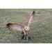 Barn Owl On Stump With Open Wings