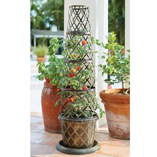 tomato-cone-shaped-planter-by-brylanehome-in-bronze/