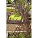 MGP Willow Funnel Wood Expanding Trellis Wood in Brown | 60 H x 14 W x 14 D in | Wayfair WFF-60F