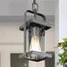 Longshore Tides Zeringue 1 -Bulb 12.5" H Outdoor Pendant Glass/Metal in Black | 12.5 H x 6 W x 6 D in | Wayfair 2875321DF2874E8DA21A23315A5FA977