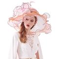 Z&X Women Kentucky Derby Church Hat Organza Flower Wide Brim Fascinator Hats for Wedding Tea Party, Dual-use, 013a- Pink, One Size