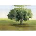 Winston Porter Green Tree Lonesome Paint - Wrapped Canvas Painting Print Canvas in Blue/Green | 12 H x 18 W x 1.25 D in | Wayfair