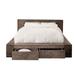 Loon Peak® Wooden Eastern King Bed w/ Two Drawers In Gray Wood in Brown | 30 H x 101 W x 91 D in | Wayfair 283B0CB6A3A54C12B16E2C909343812A