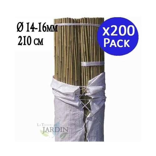 Pack 200 x Bambusstäbe 210 cm, 14-16 mm. Bambusstangen, ökologische Bambusrohre zur Befestigung von
