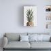 Bayou Breeze Pineapple Natural by 1x Studio III - Wrapped Canvas Photograph Canvas, Wood in Brown/Gray/White | 19 H x 12 W x 2 D in | Wayfair