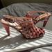 Anthropologie Shoes | Anthropologie Faryl Robin Slingback Dress Heels, Size 8, Worn Once, Wedding. | Color: Pink/Purple | Size: 8