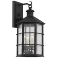 Troy Lighting Lake County Outdoor Wall Sconce - B2512-FRN