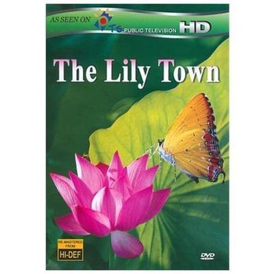The Lily Town DVD