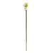19.5" Calla Lily Artificial Flower (Set of 12) - H: 19.5 In. W: 3 In. D: 1.5 In.