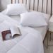 Martha Stewart Tencel Softy Around Feather And Down Pillow (Set of 2) - White