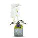 T&C Floral Company Artificial Orchid in Planter Plastic | 24 H x 8 W x 8 D in | Wayfair S2216BWA