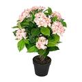 HOMESCAPES Pink Purple Hydrangea Bush Artificial Plant in Black Pot 70 cm (2.3 ft) for Home Office Indoor Decoration