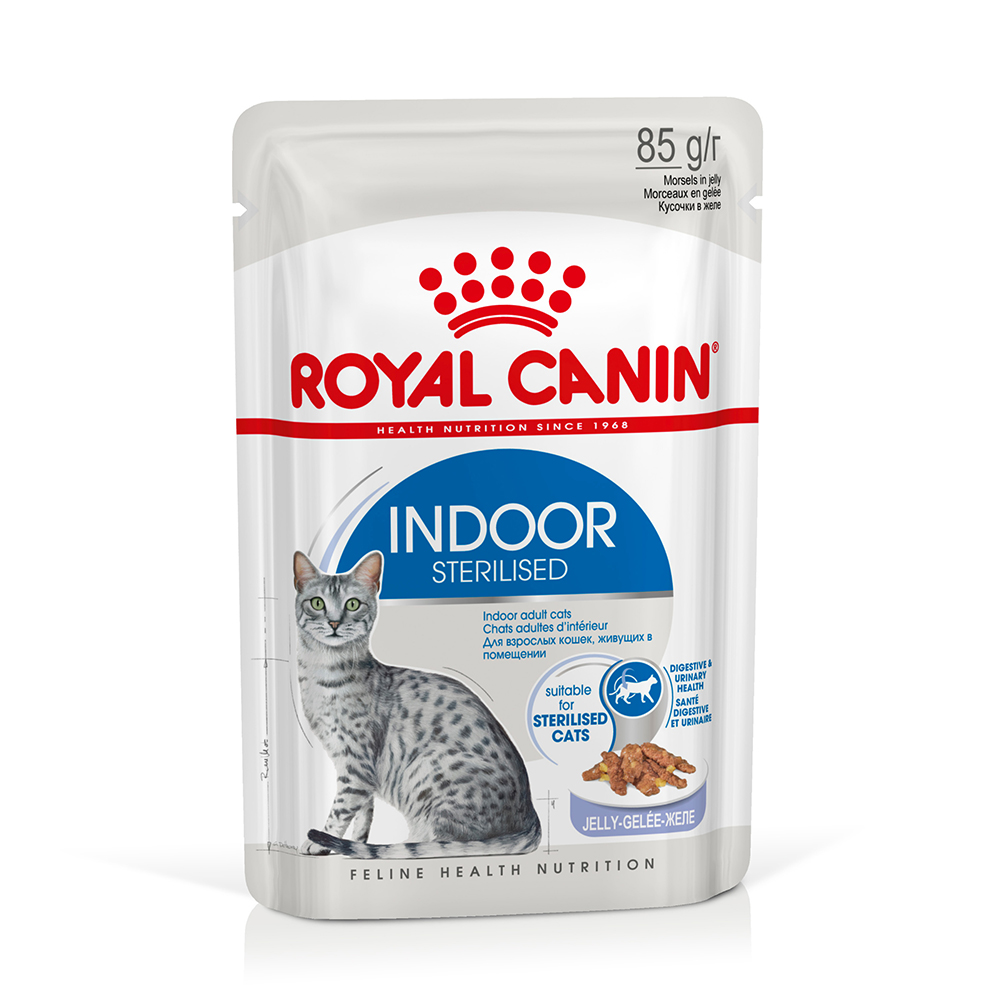 Royal Canin Indoor Sterilised umido in Gelatina per gatti - Set %: 48 x 85 g