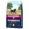 Eukanuba Puppy Large Breed Pollo - Set %: 2 x 3 kg