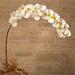 5' Large Phalaenopsis Orchid Artificial Flower (Set of 2) - H: 5 Ft. W: 6 In. D: 1 In.