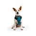 Embrace the Pace Teal Reflective Dog Harness, Small, Blue