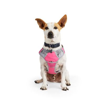 EveryYay Front Walking Reflective Dog Harness, Pink, XX-Large/3X-Large