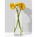 Everly Quinn Small Gold-Rimmed Clear Cylinder Vase, Elegant Flower Vase, Decorative Bottles For Mantel, Book Shelf, Table Centerpiece | Wayfair