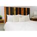 Gracie Oaks Davel Solid Wood Panel Headboard Hanger Wood in Red/White/Black | 36 H x 55.5 W x 2 D in | Wayfair F24D4885AFE1435192B6CBF5DF407566