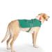 Green Dog Rain Coat, Medium