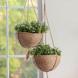 Dakota Fields Tierney Natural Fibers Hanging Planter Natural Fibers in Brown | 6.3 H x 12.4 W x 12.4 D in | Wayfair