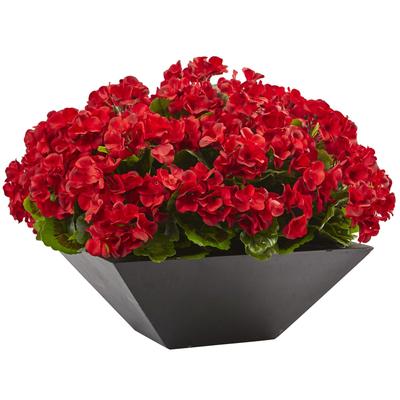 Geranium with Black Planter UV Resistant (Indoor/Outdoor) - 15"H x 20"W x 20"D