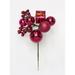 The Holiday Aisle® Christmas Ball Gift Berry Pick, Burgundy Set Of 12 Plastic in Red | 9 H x 5 W x 5 D in | Wayfair