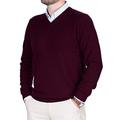 Men's V-Neck Sweater Pure Cashmere 100% Wool Long Sleeve Pullover with Soft Crew Neck and Soft V-Neck (S, Burgundy)