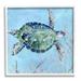 Stupell Industries 17_Speckled Sea Tortoise Deep Sea Aquatic Animal Stretched Canvas Wall Art By Carol Robinson in Brown | Wayfair ai-760_wfr_12x12