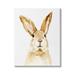 Stupell Industries 3_Wild Bunny Rabbit Watercolor Portrait Wild Forest Animal Stretched Canvas Wall Art By Victoria Barnes | Wayfair