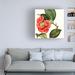 Red Barrel Studio® Cropped Antique Botanical III by Vision Studio - Wrapped Canvas Painting Canvas, in Green/Red/White | Wayfair