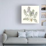 Red Barrel Studio® Graceful Botanical I by Vision Studio - Wrapped Canvas Painting Canvas, Wood in Brown/Gray/White | 14 H x 14 W x 2 D in | Wayfair