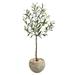 50" Olive Artificial Tree in Sand Colored Planter - 10.5"