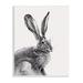 Stupell Industries Resting Wild Hare Portrait Bold Face Rabbit Illustration Graphic Art on Wood in Brown | 15 H x 10 W x 0.5 D in | Wayfair