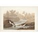 Rosecliff Heights Pl. 320 Little Sandpiper Canvas | 8 H x 12 W x 1.25 D in | Wayfair 1682F3FC0662476C8F635F25282368A8