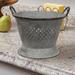 Gracie Oaks Anderson-Brown Metal Rustic Decorative Bowl in Metal/Wire in Gray | 8.75 H x 10 W x 10 D in | Wayfair 37585D9922E14B1BBF6D2F54572842A9