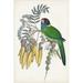 Bayou Breeze Tropical Bird & Flower II by Vision Studio - Wrapped Canvas Painting Canvas, Wood in White | 36 H x 24 W x 1.25 D in | Wayfair