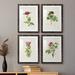 Red Barrel Studio® Pretty Pink Botanicals II - 4 Piece Picture Frame Print Set Paper, Wood in Green/Indigo/Pink | 1.5 D in | Wayfair