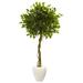 5.5' Ficus Artificial Tree in White Oval Planter UV Resistant (Indoor/Outdoor) - 30"D x 30"W x 66"H