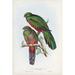 Bayou Breeze Gould Tropical Birds I by John Gould - Wrapped Canvas Painting Canvas, Wood | 18 H x 12 W x 1.25 D in | Wayfair