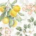 One Allium Way® Citrus Charm VI by - Wrapped Canvas Painting Canvas in Green/Pink/Yellow | 12 H x 12 W x 1.25 D in | Wayfair