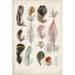 Dakota Fields Antique Bird Feathers III - Wrapped Canvas Painting Canvas | 18 H x 12 W x 1.25 D in | Wayfair D0FBFE7B07C94A9A9EFE643140A48B02
