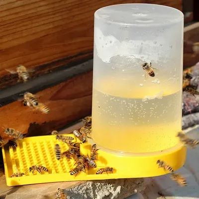 Mangeoire pour abeilles en plastique abreuvoir et arroser les abeilles